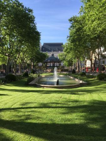 Le Cosy Central Moderne Et Chaleureux Saint-Etienne  Exteriér fotografie